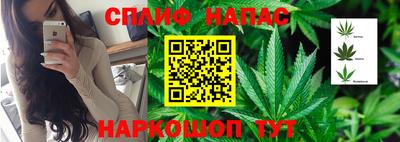 спиды Беслан