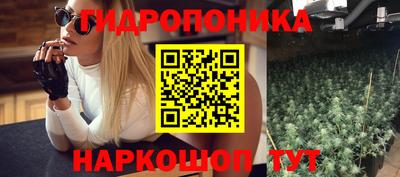 ALPHA-PVP Бийск
