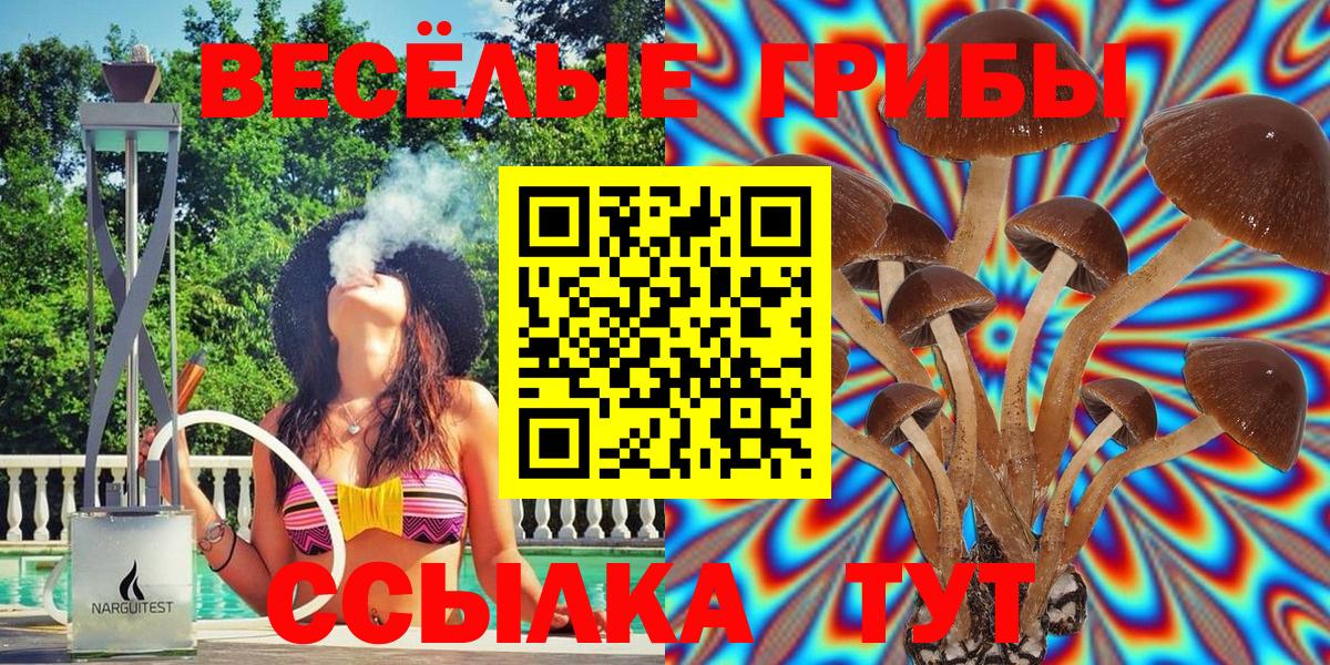Псилоцибиновые грибы Psilocybine cubensis Канаш