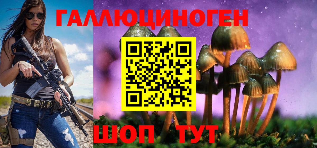 Канаш  Псилоцибиновые грибы MAGIC MUSHROOMS  Вход с VPN 